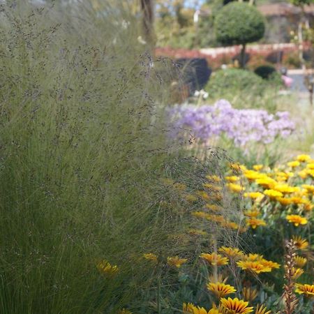 Les Jardins De Santa Giulia - Charmante Chambre D'Hote 포르토베쉬오 외부 사진